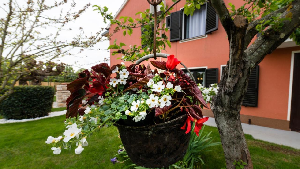 Villa Roza ウマグ エクステリア 写真