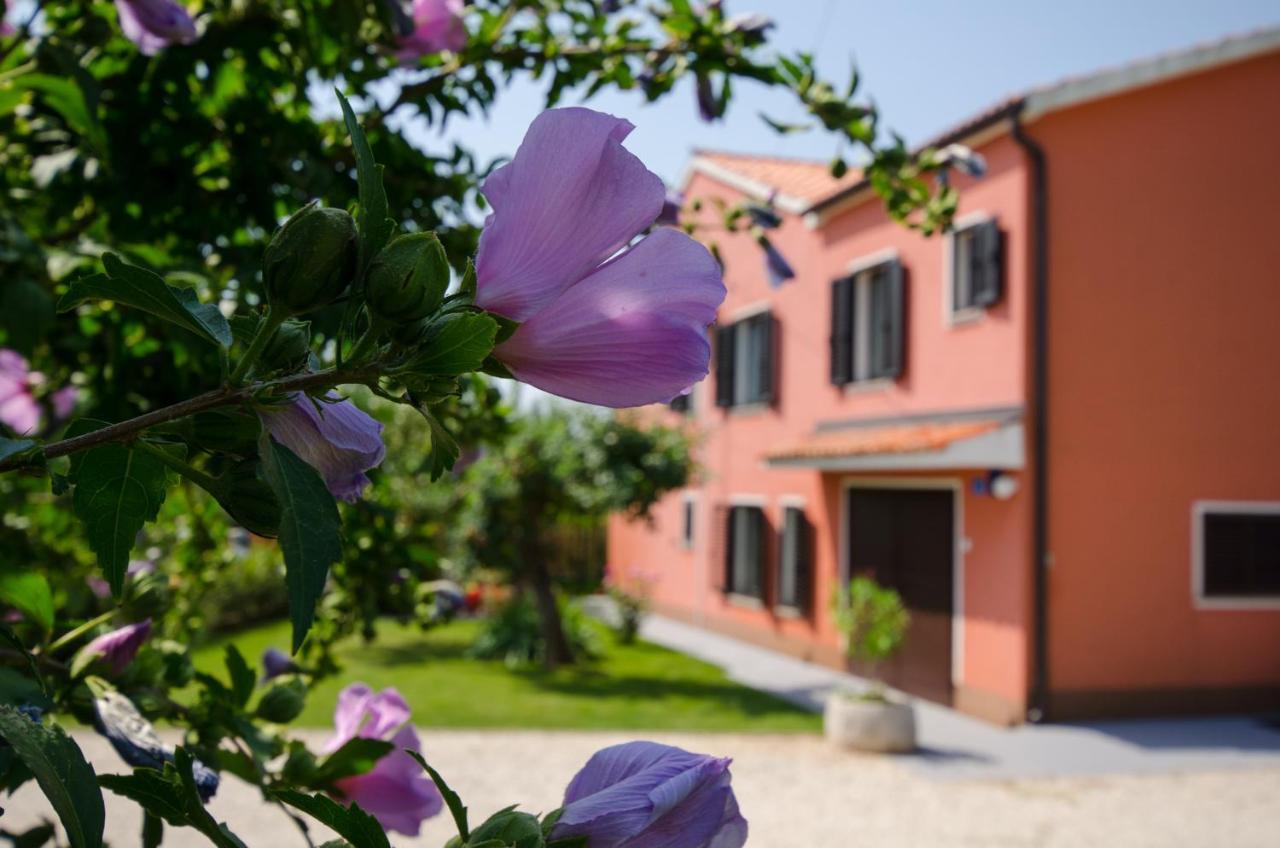 Villa Roza ウマグ エクステリア 写真